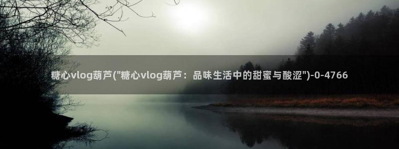 糖心vlog提取码