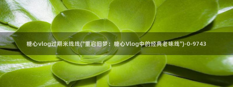 是时候看糖心vlog