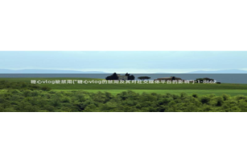 网上那个糖心vlog：糖心vlog被禁用(\