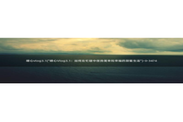 糖心vlog传媒女演员：糖心vlog3.1(\