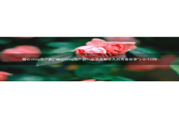 糖心vlog3.2：糖心vlog国产剧(\